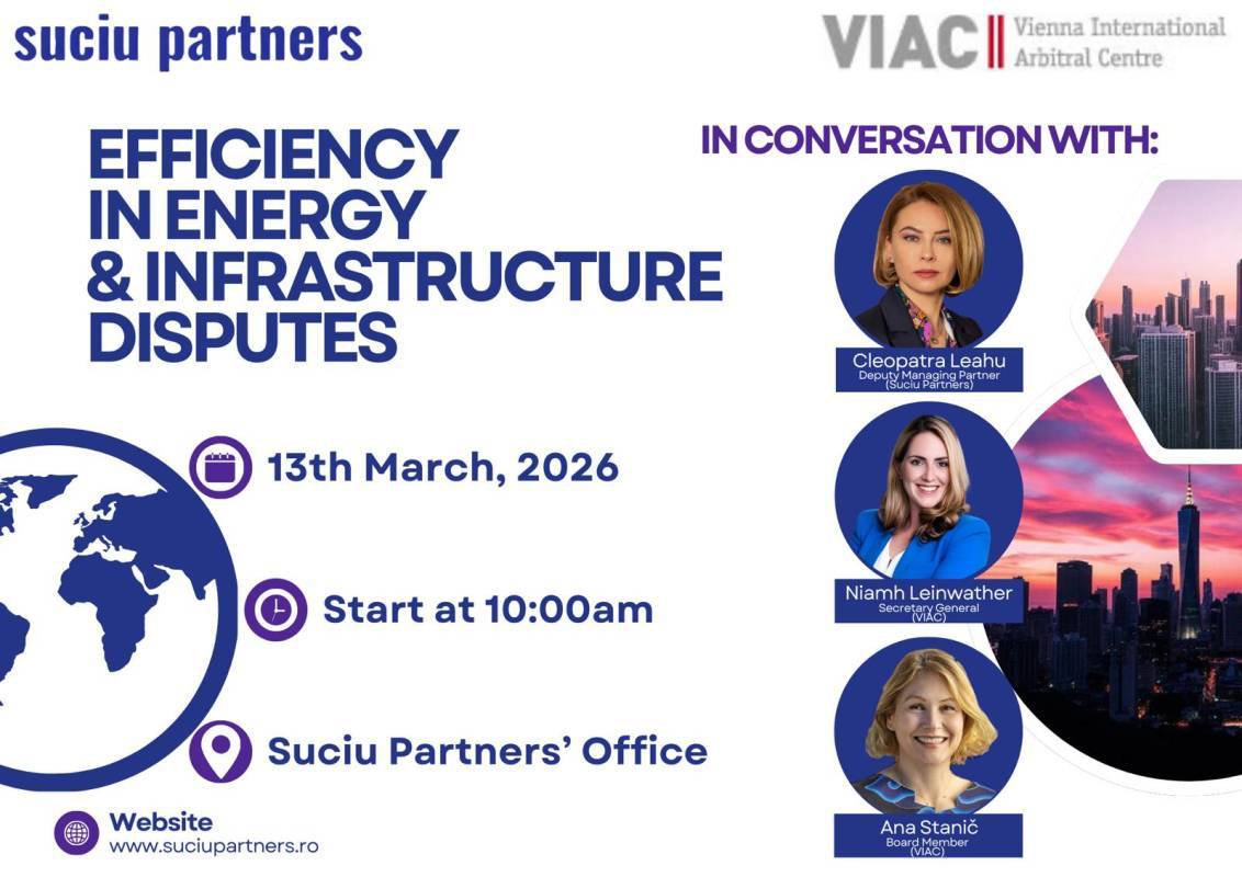 Efficiency in Energy & Infrastructure Disputes