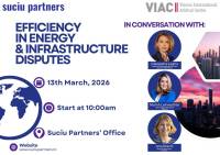 Efficiency in Energy & Infrastructure Disputes